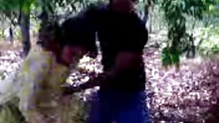 ქერა მსხვილფეხა ქერა ...